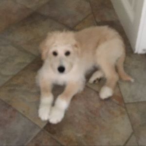 Meet your Posher, Chloe